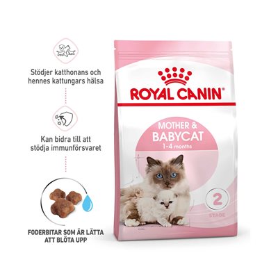 רויאל קנין בייבי קט 4 ק"ג מזון לגורים ואמהות - ROYAL CANIN BABY CAT AND MOTHER 4 KG