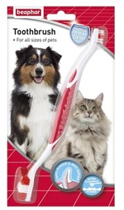 באפאר, מברשת שיניים לכלב/חתול.