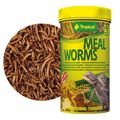 tropical mealworms 250ml/30g
