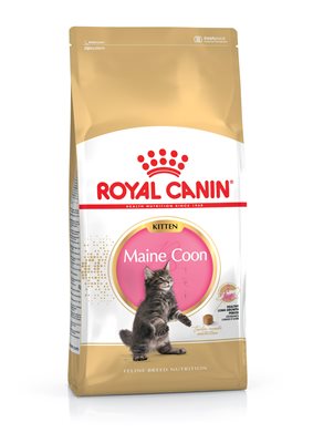 royal canin maine coon kitten 4kg