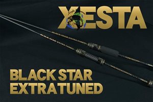 xesta - black star extra tuned s66m-t super friction / 0.2-10g / 1.99m