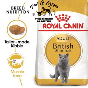 Royal Canin British Shorthair Adult 4kg - רויאל קנין 4 ק"ג מזון יבש לחתולים בוגרים מגזע בריטי