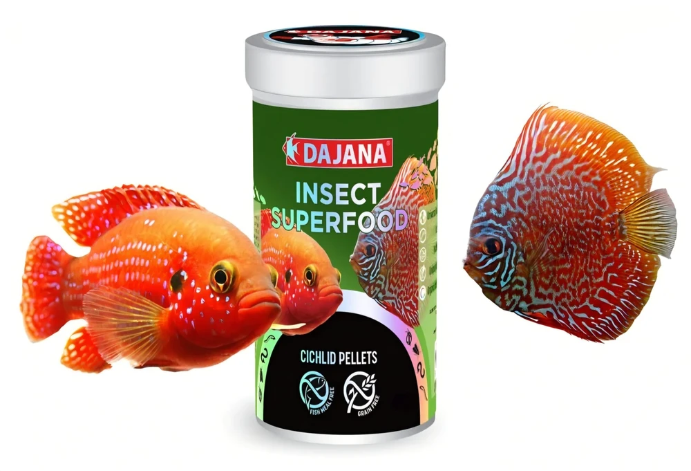 DAJANA-INSECT-SUPERFOOOD ציקליד/דיסקוס פאלטס 500g
