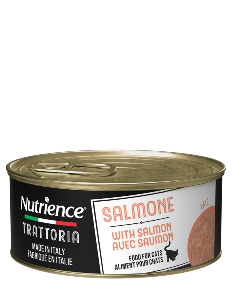 Nutrience-נוטריאנס פטה סלמון לחתולים 85g