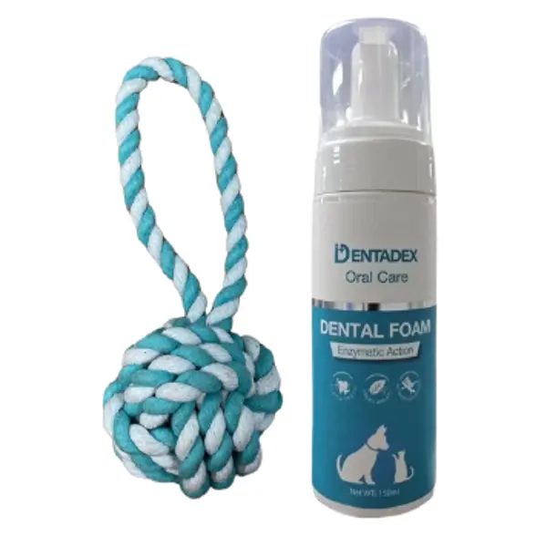 קצף פה וחבל דנטלי DENTADEX
