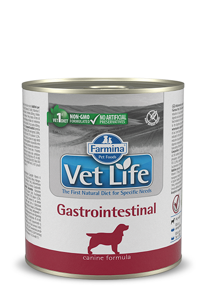Vet Life Gasrtointestinal - וט לייף גסטרואינטסטינל שימור מזון רפואי לכלב 300 גרם