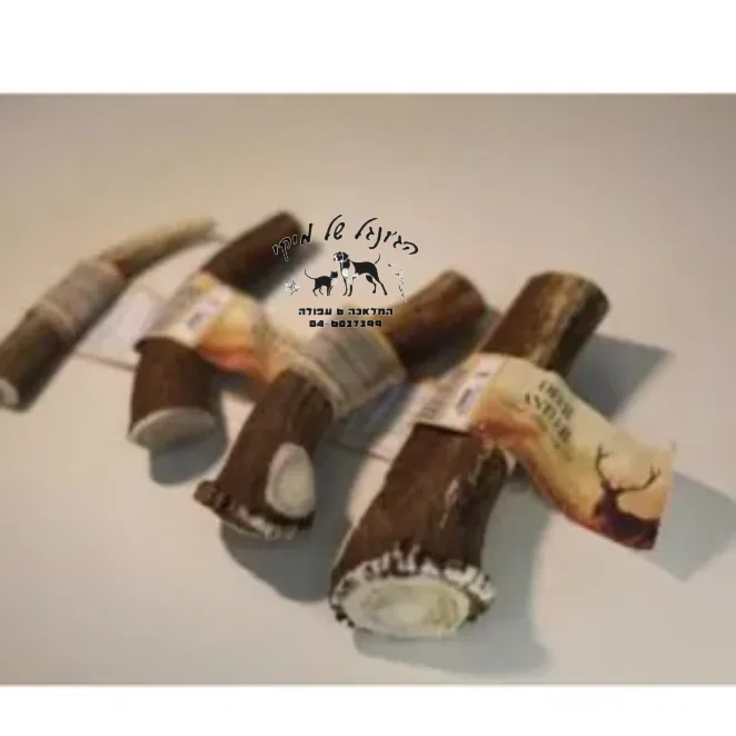 קרן אייל XXL אדום 250-265G