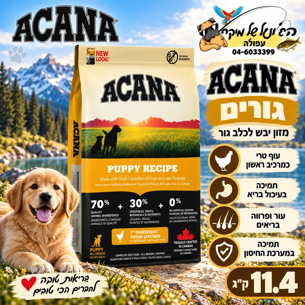 Acana אקאנה מזון יבש לכלב גור 11.4kg