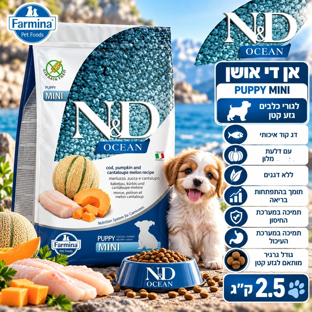 ND אושן קוד דלעת מלון כלב גורים מיני 2.5kg