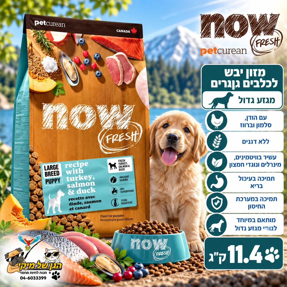 Now נאו מזון יבש ללא דגנים לכלבים גורים מגזע גדול 11.4kg