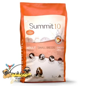 Summit 10