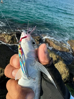 BIDI CROOK JIG 15G