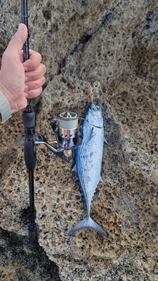 BIDI CROOK JIG 10G