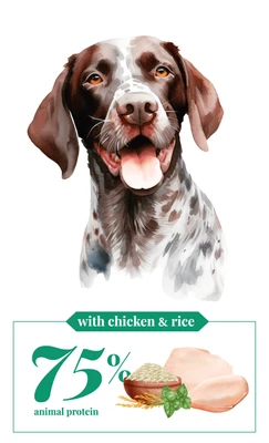 Cebican-סיביקאן