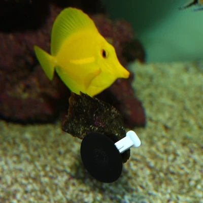 תופסן לאוכל JBL