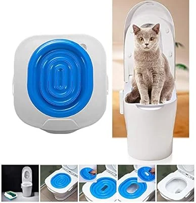 אימון חתול לאסלה