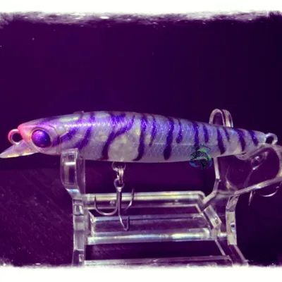 SKAGIT DESIGNS LIPSLIDE**M.A** 13G