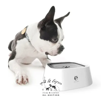 צלחת מתקן מים לחתול או כלב עם מצוף נגד הרטבה 1 ליטר