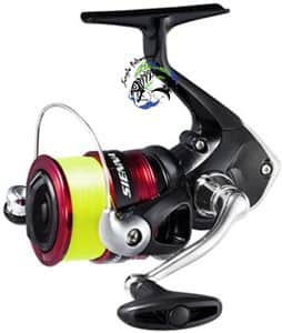 shimano - Sienna 2000 (include line 0.235mm-150m)