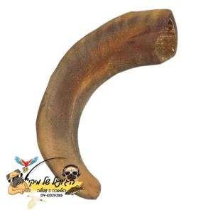 CARNIVORE קרניבור קרן כבש 100% טבעי