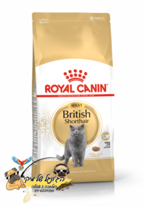 Royal Canin רויאל קנין מזון יבש לחתולים בוגרים מגזע בריטי 4kg