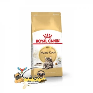 Royal Canin רויאל קנין מזון יבש לחתולים בוגרים מגזע מיין קון 4kg