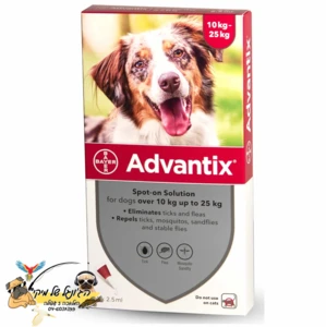 ADVANTIX אדוונטיקס אמפולות לכלב 10-25 ק"ג 4 יחידות