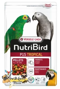 NutriBird נוטרי בירד כופתיות לתוכי גדול ורסלה P15 טרופי 1 ק"ג