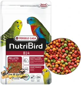 כופתיות B14 לתוכים קטנים 800 גרם Versele laga