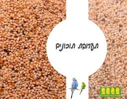 מיקס תוכונים 20 ק?ג