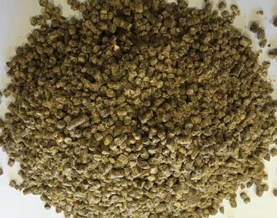 תערובת מטילות 20 ק?ג