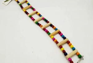 סולם לתוכי 11 שלבים