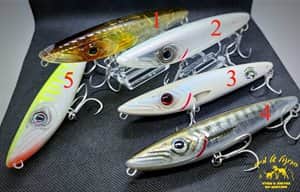 LORENZO - FISHUS /14cm 32g floating