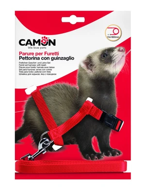 CAMON ריתמה לחמוס+רצועה 1.8מ