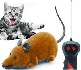 עכבר על שלט