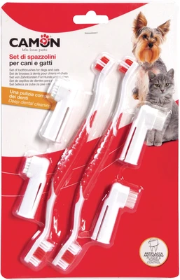 CAMON סט מברשת שיניים