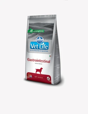 Vet Life Gastro-Intestinal - וט לייף גסטרואינטסטינל מזון יבש רפואי לכלב 2kg