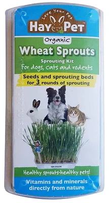 Hay-Pet עשב חיטה מצע הנבטה וזרעים ל2 הנבטות