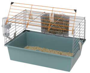 כלוב לשרקן קוויה