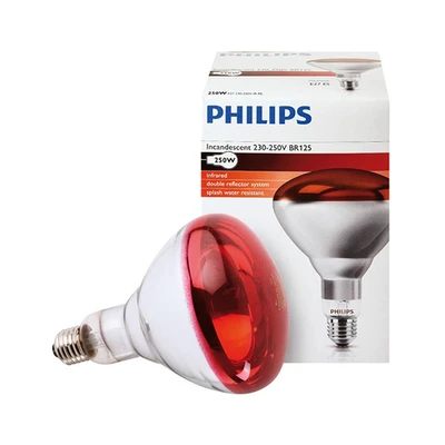 PHILIPS-נורת חימום 250W