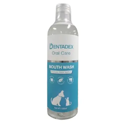 מי פה לחיית מחמד 500 מ"ל DENTADEX