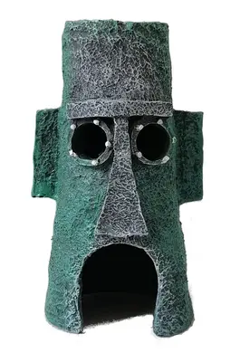 דקורציה סקווידויד