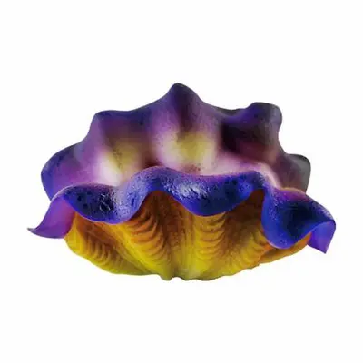 דקורציה צדפה ספוג