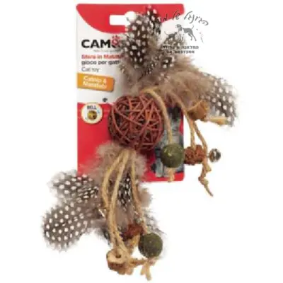 מטאטאבי משחק חתולים CAMON