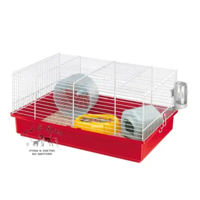 כלוב אוגר קריסיטי