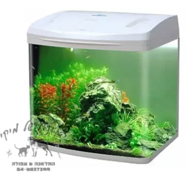 אקווריום עם תאורת לד 60 ס"מ לבן B260