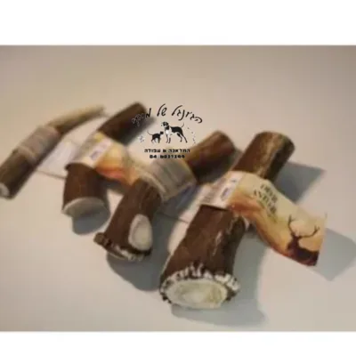 קרן אייל M אדום 50-60G