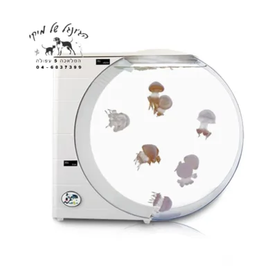 אקווריום מעוצב