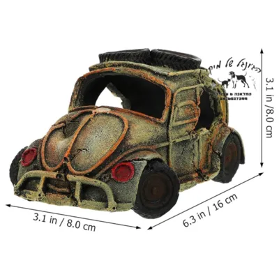 דקורציה חיפושית