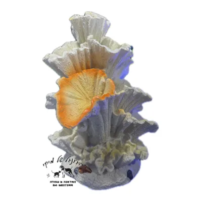 דקורציה אלמוג לבן